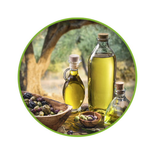 Olive Oil and Sunflower Oil